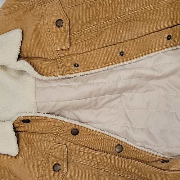 Tan Corduroy Sherpa-Lined Jacket - Picture 7 of 8